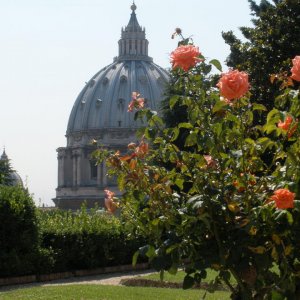 Vatikanische Grten: Kuppel von St. Peter