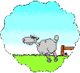 animaatjes-schapen-14169.gif