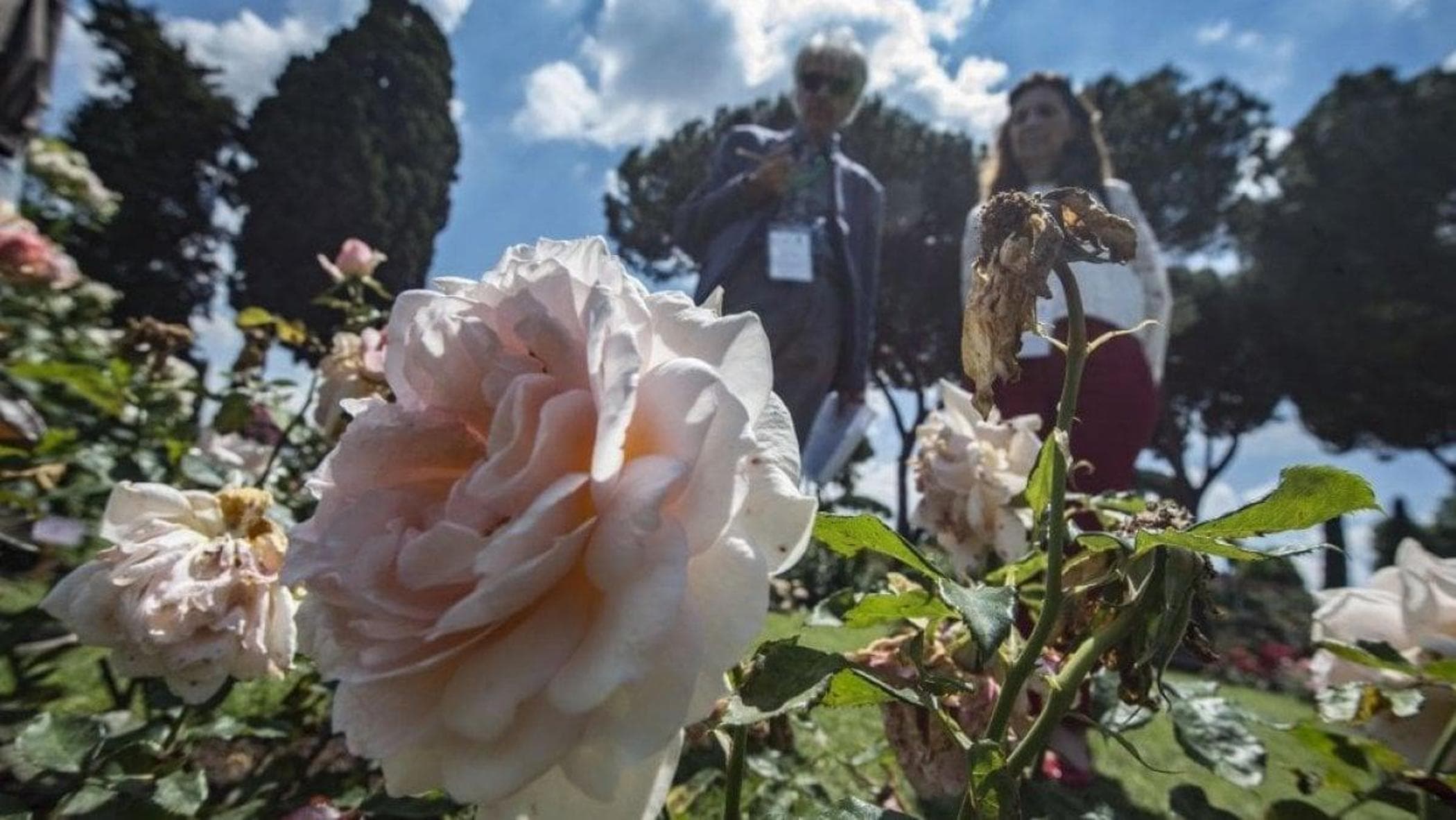 roma.repubblica.it