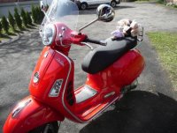 Vespa 002.jpg