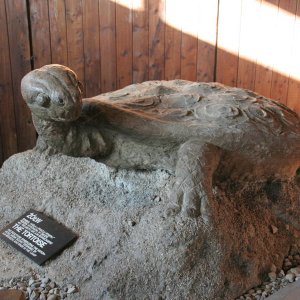 KZ-Gedenksttte Lublin-Majdanek: Die Schildkrte