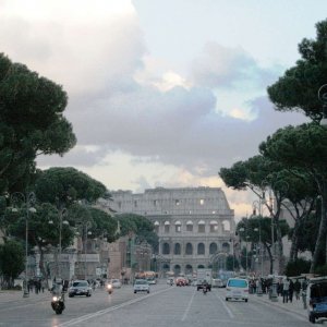 Kolosseum, Fiori Imperiali