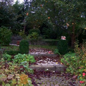 Doudous Garten im Herbst