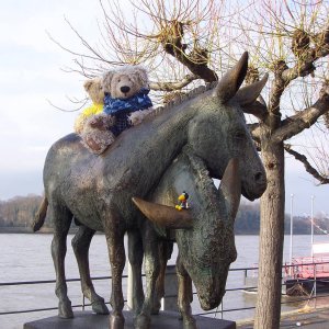 Drachenfels-Esel am Rheinufer