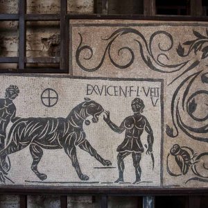 Kolosseum Gladiatoren Mosaik
