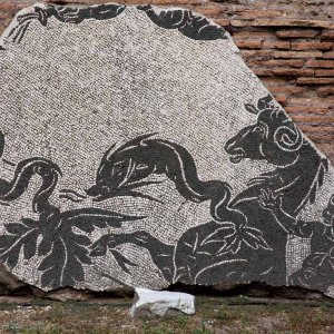 Caracalla Thermen Bodenmosaik Fragment