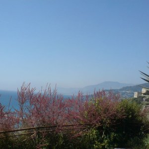 Ventimiglia