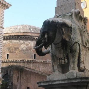 Elephant des Bernini