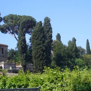 Blick vom Forum Romanum hoch zum Palatin