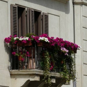 Piazza Navona