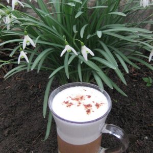 Kaffee im Garten