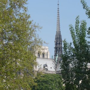 Notre Dame am Morgen