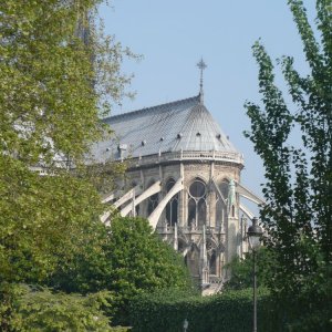 Notre Dame am Morgen