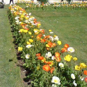 Jardin des plantes