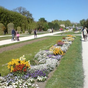 Jardin des plantes