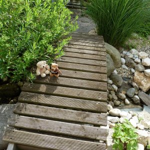 Brenfreuden im Sommergarten