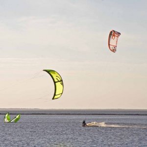 Norddeich Surfer