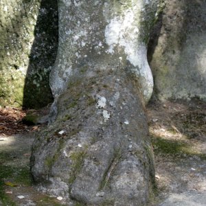 Bomarzo