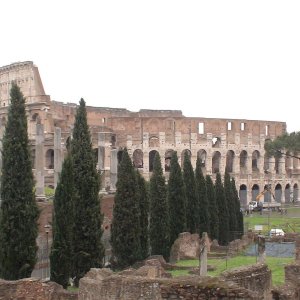 Colosseum auen