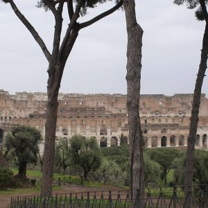 Colosseum