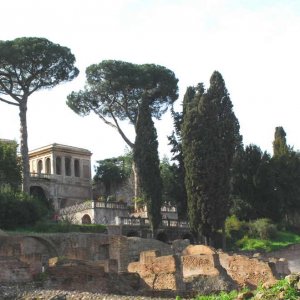Blick vom Forum Romanum auf die Farnesinischen Grten