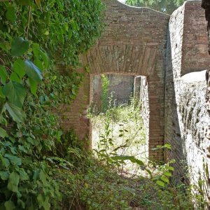 Ostia Antica Natur macht sich breit