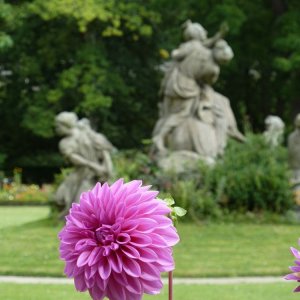 Im Hofgarten der Residenz