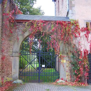 Kloster Steinfeld, Gartentor