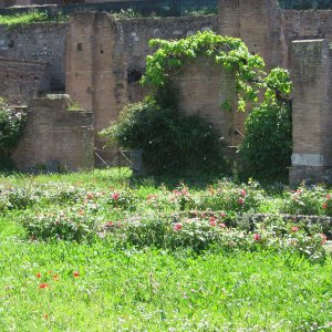 Forum Romanum3