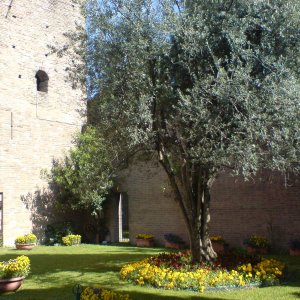 Ravenna - Basilica di San Giovanni Evangelista