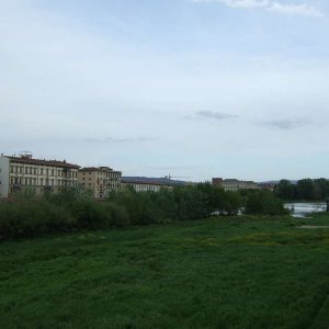 Am Arno