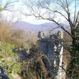 Drachenfels und Drachenfels-Bahn