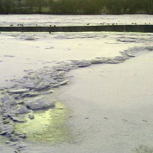 Eis auf dem Main bei Veitshchheim