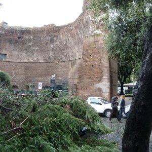 Sturmschden bei den Diokletiansthermen