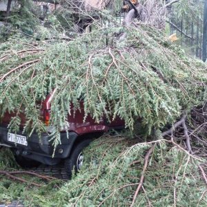 Sturmschden bei den Diokletiansthermen