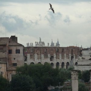 Blick zum Colosseo