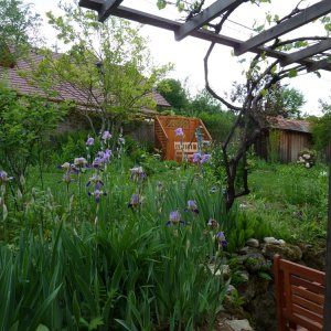 Im Garten in Grambach