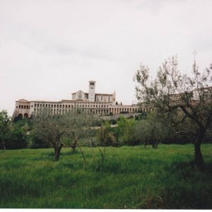 Assisi Basilika