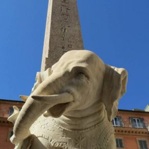 Elefant an der Piazza della Minerva