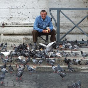 Taubenftterer am Petersplatz