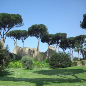 Frhling in Forum Romanium
