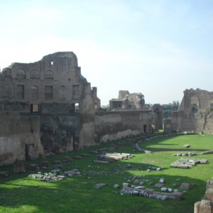 Frhling in Forum Romanium