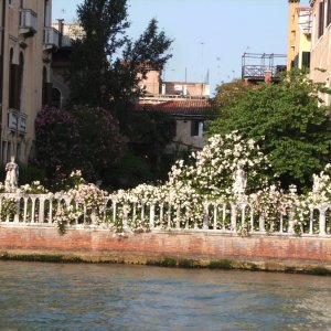 Garten des Palazzo Malipiero am Canal Grande