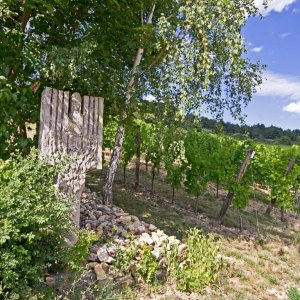 Weinberge Retzbach bei Wrzburg