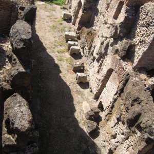 Colosseo 4