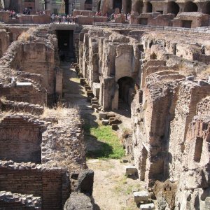 Colosseo 5
