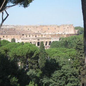 Colosseo vom Palatin aus