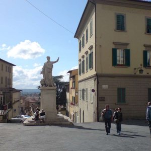 Pltze - Arezzo