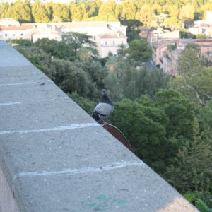 Gianicolo, Piazza Garibaldi