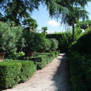 Giardino